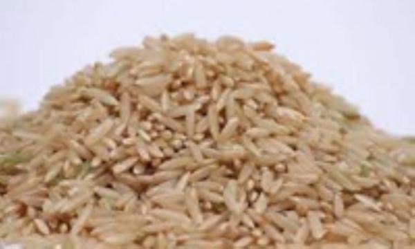 کالری های موجود در برنج قهوه ای